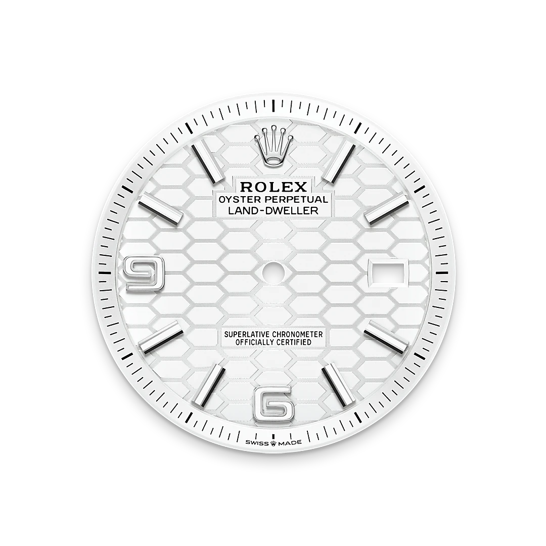 Rolex Land-Dweller in White Rolesor - combination of Oystersteel and white gold, M127334-0001 - Pisa 1940